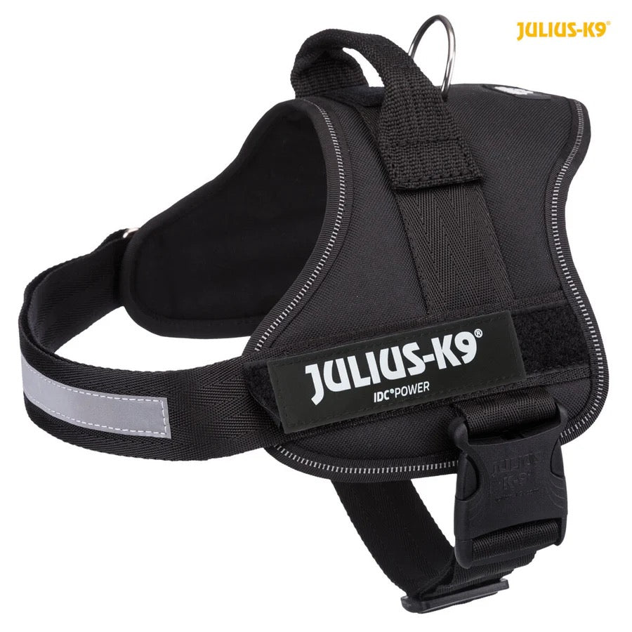 Julius K9