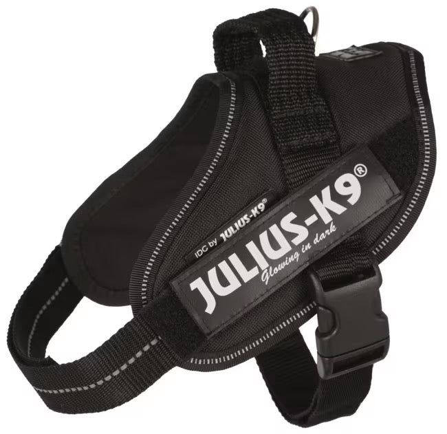 Julius K9 IDC Mini