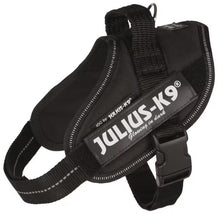 Julius K9 IDC Mini