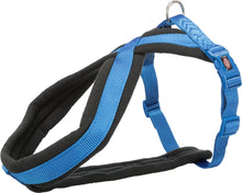 Hundesele Foret