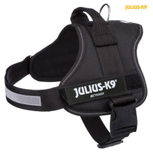 Julius K9