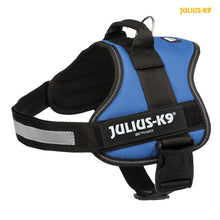 Julius K9