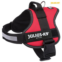 Julius K9