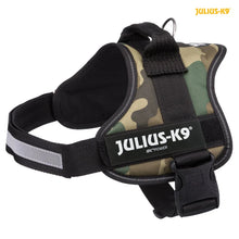 Julius K9