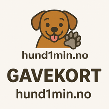 Gavekort